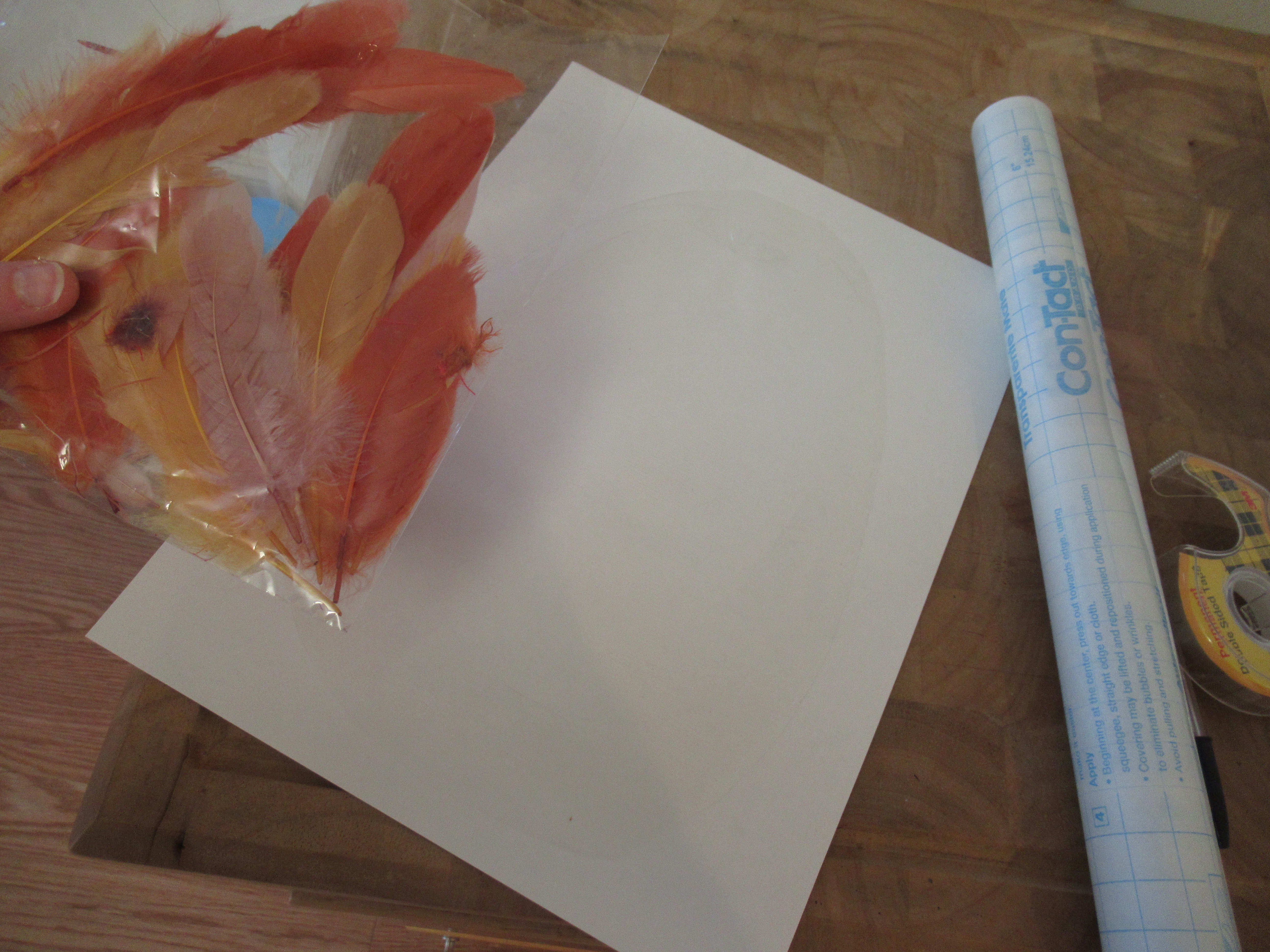 Contact Paper Chick (1)