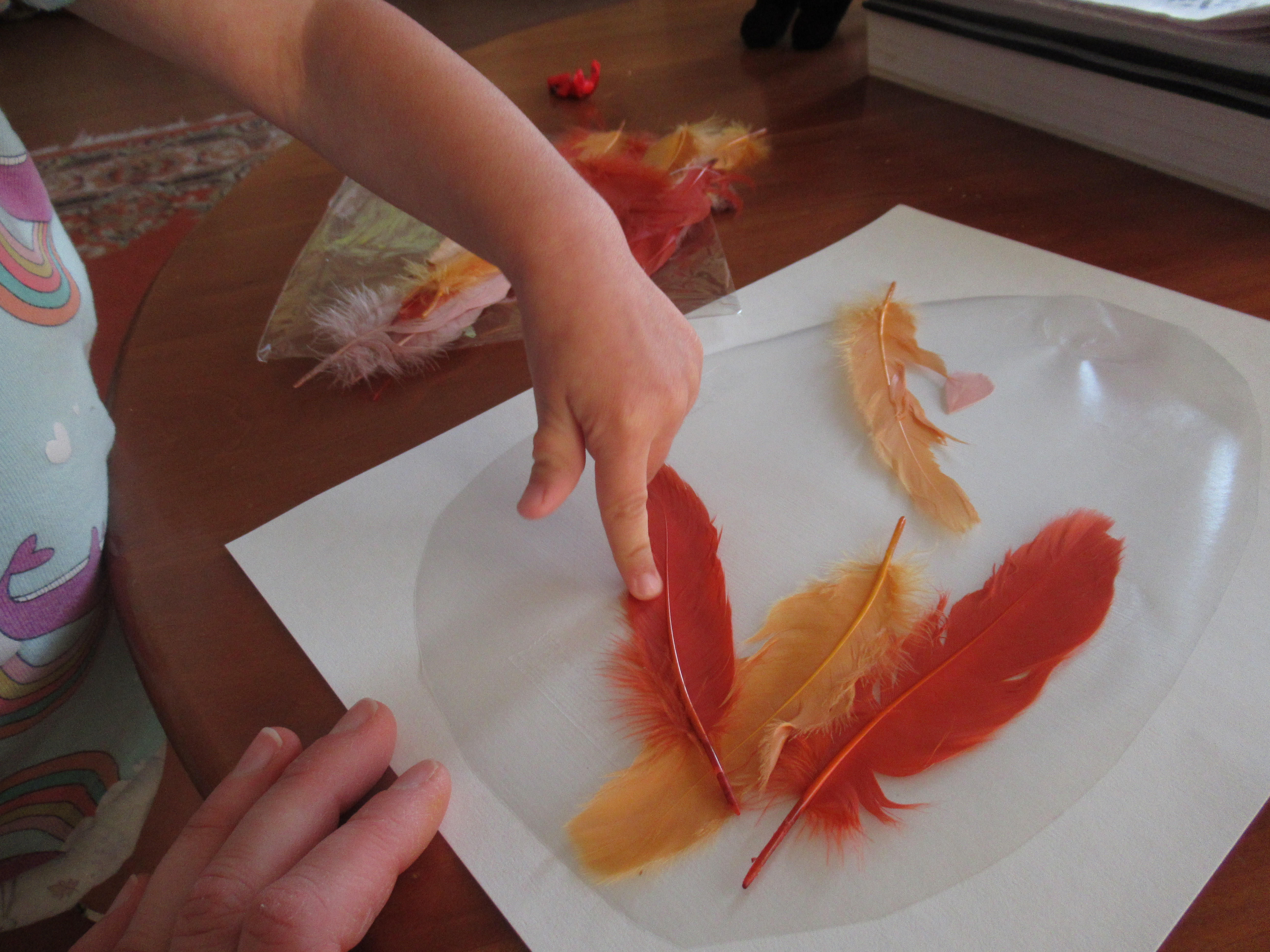 Contact Paper Chick (2)