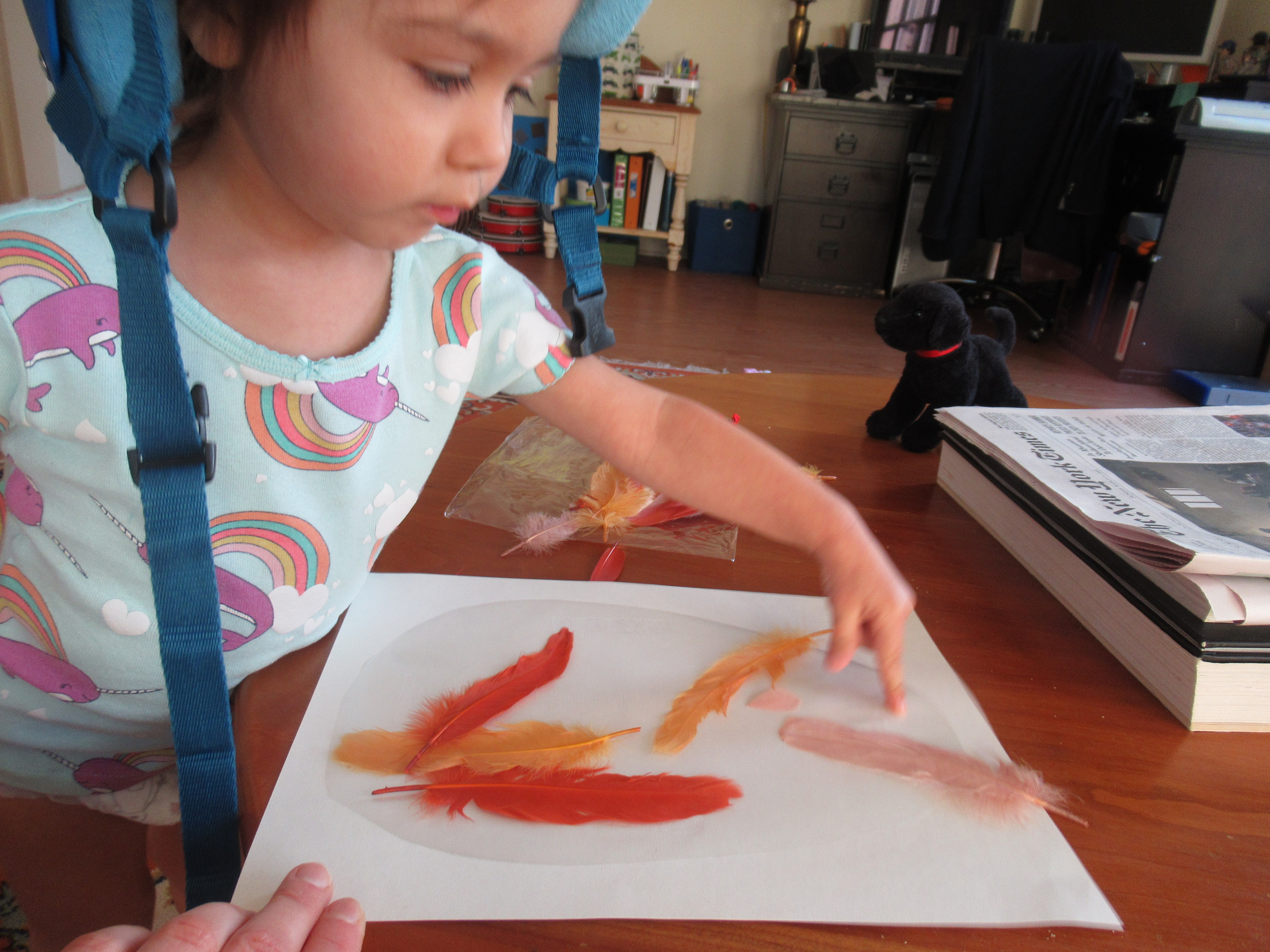 Contact Paper Chick (3)