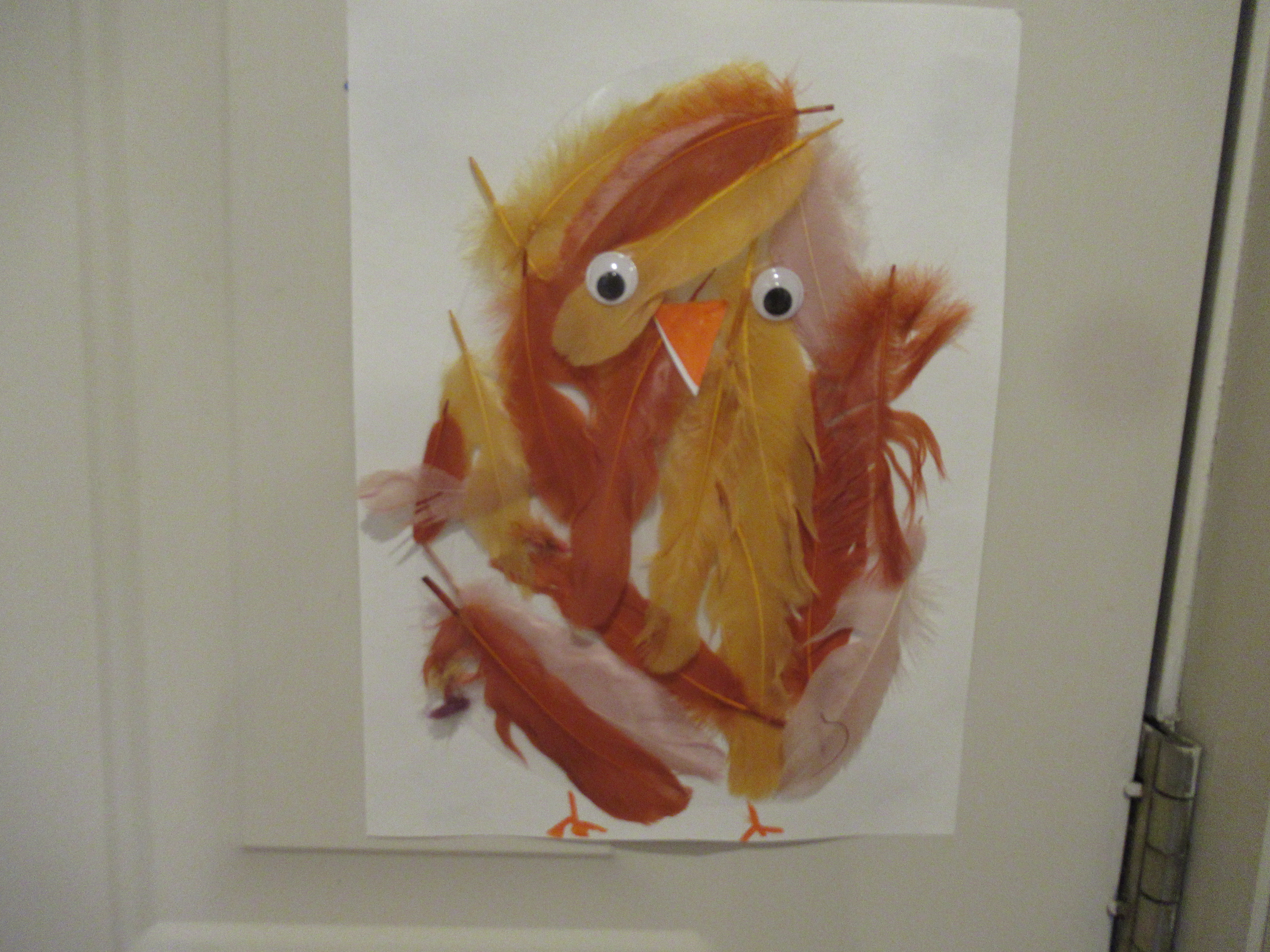 Contact Paper Chick (4)