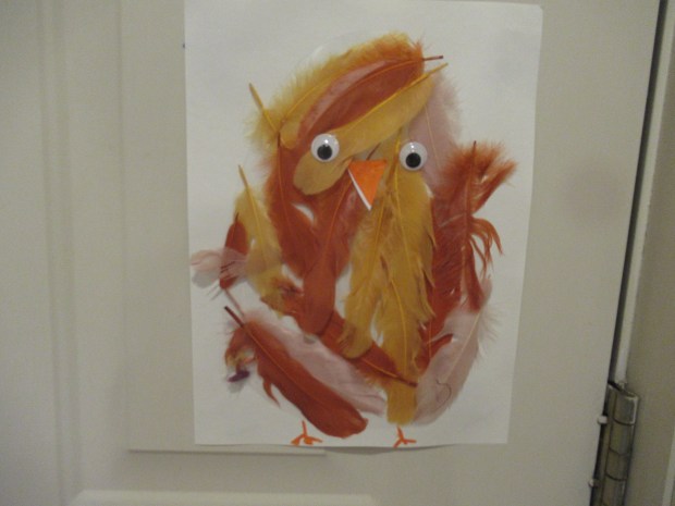 Contact Paper Chick (4)