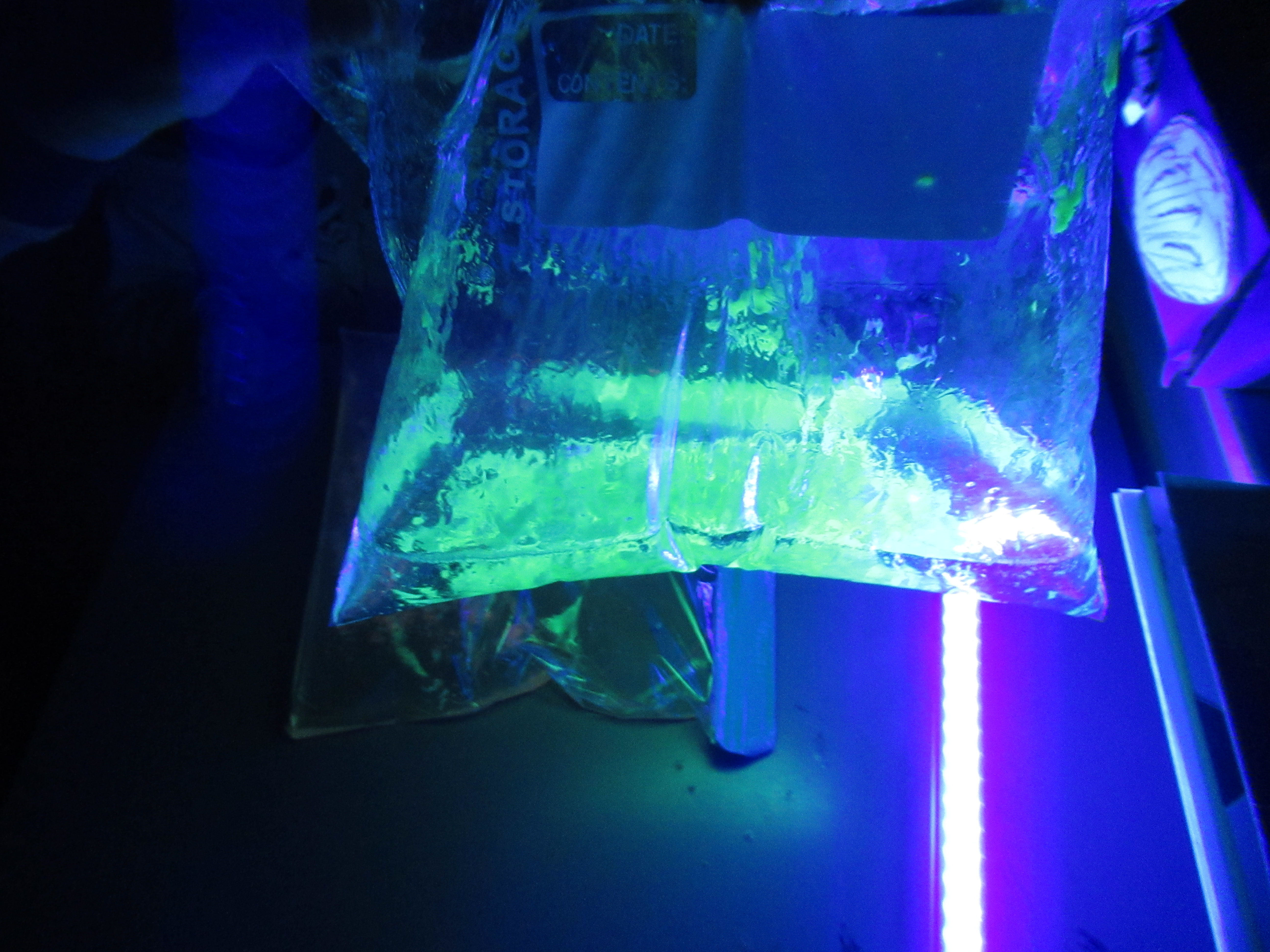 Glowing Colors Bag (6)