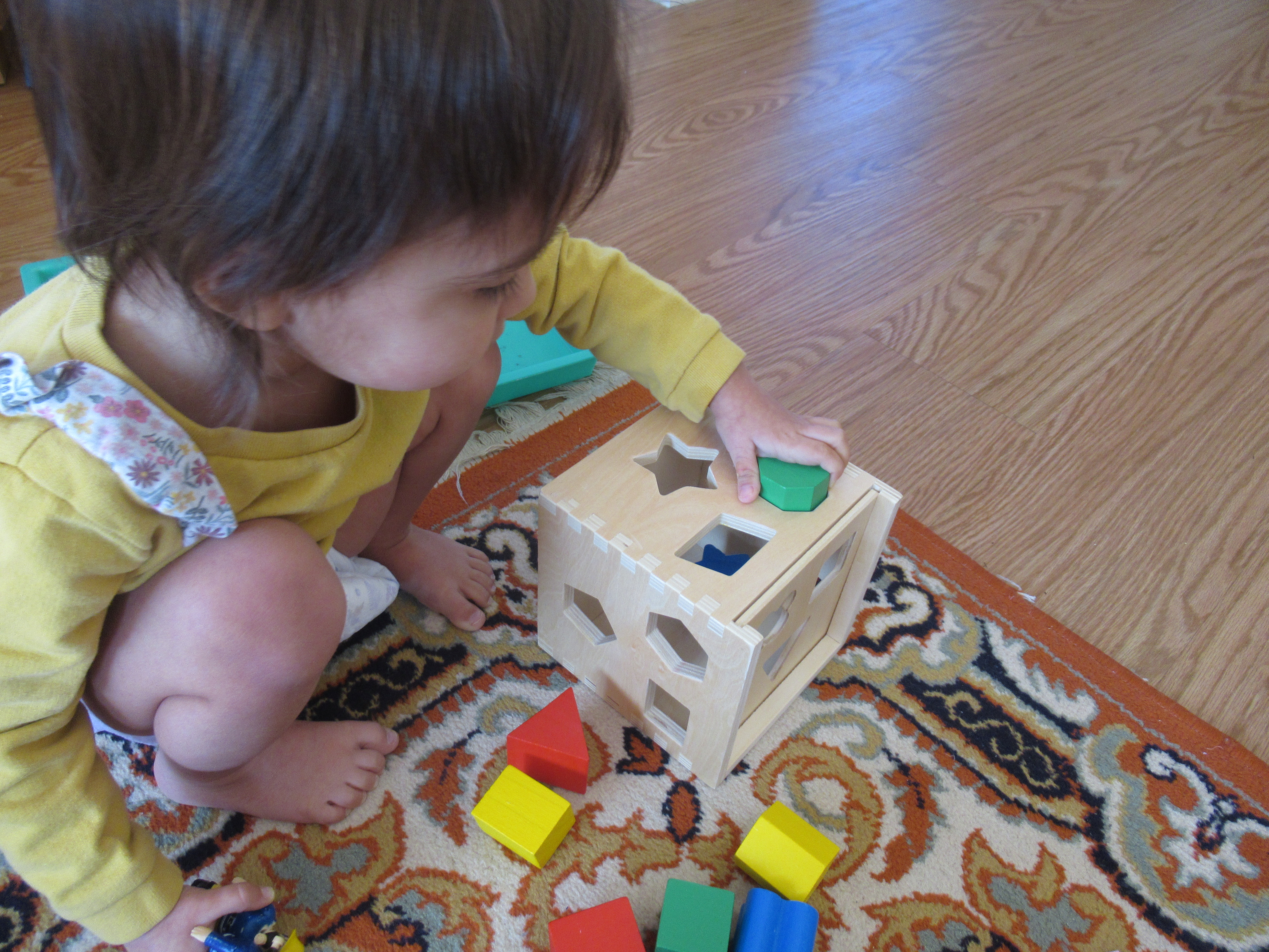 Mini Toddler Olympics (7)