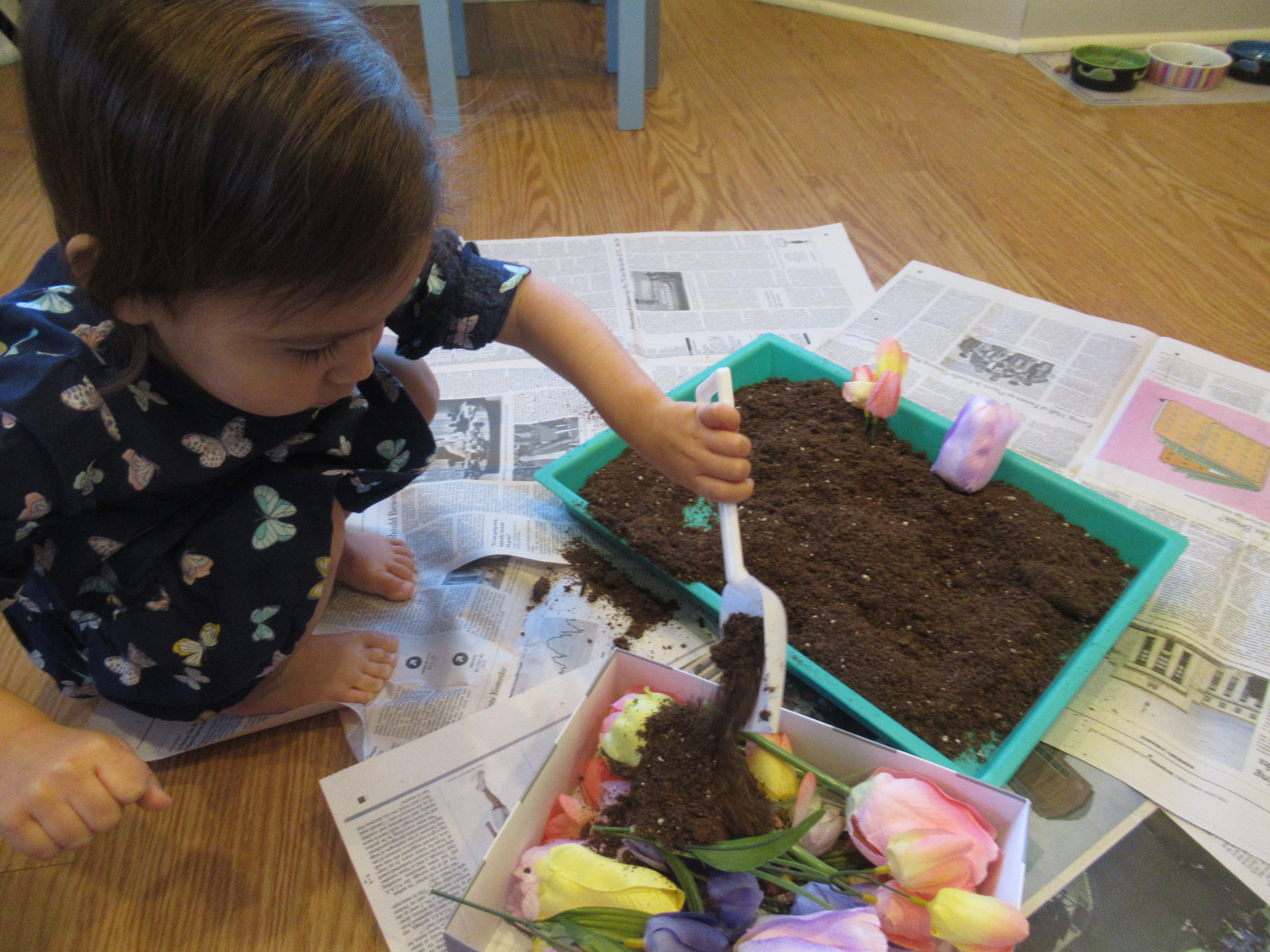 Potting Soil Sandbox (2)