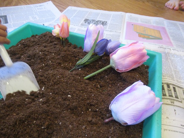 Potting Soil Sandbox (4)
