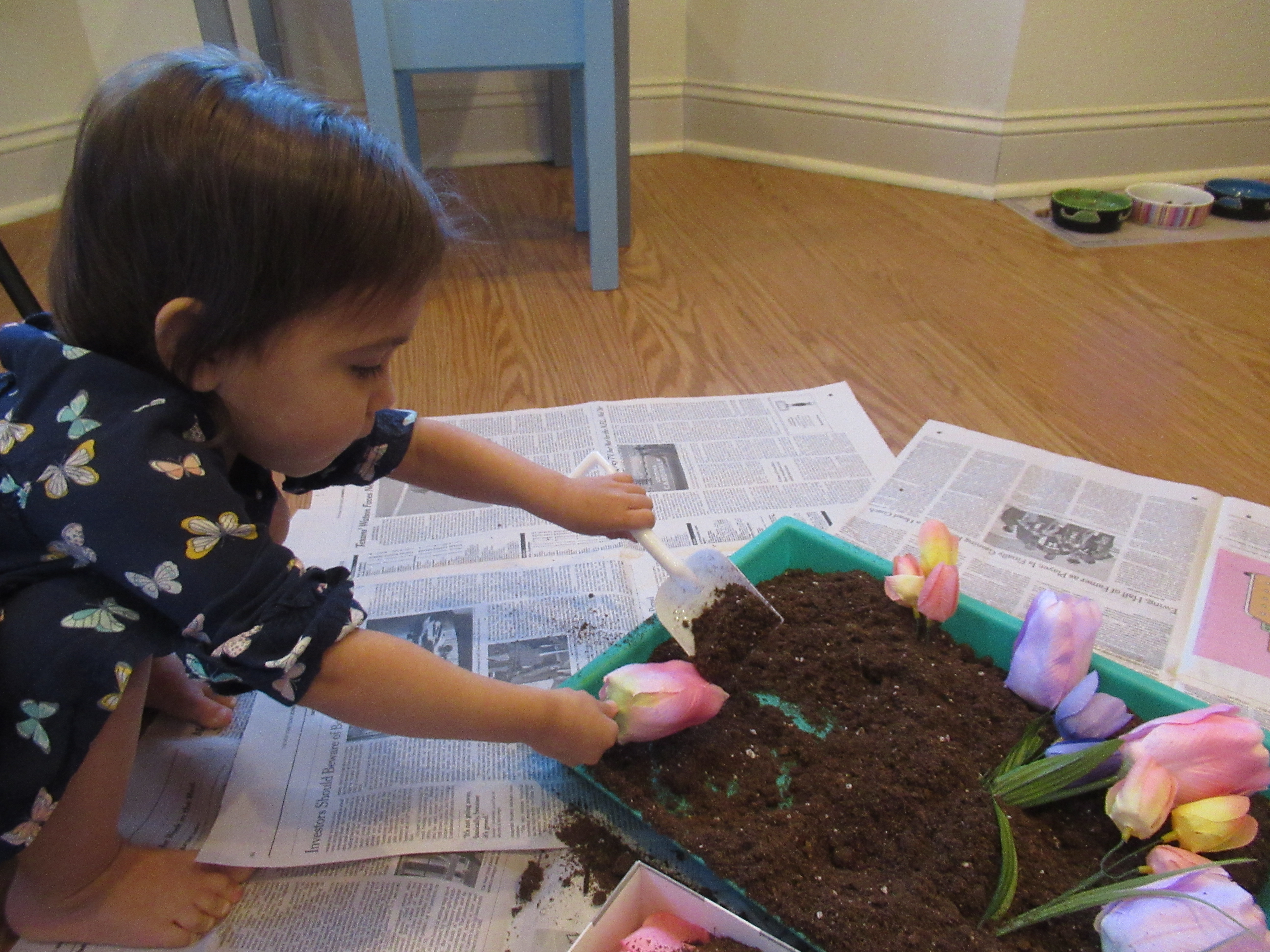 Potting Soil Sandbox (5)