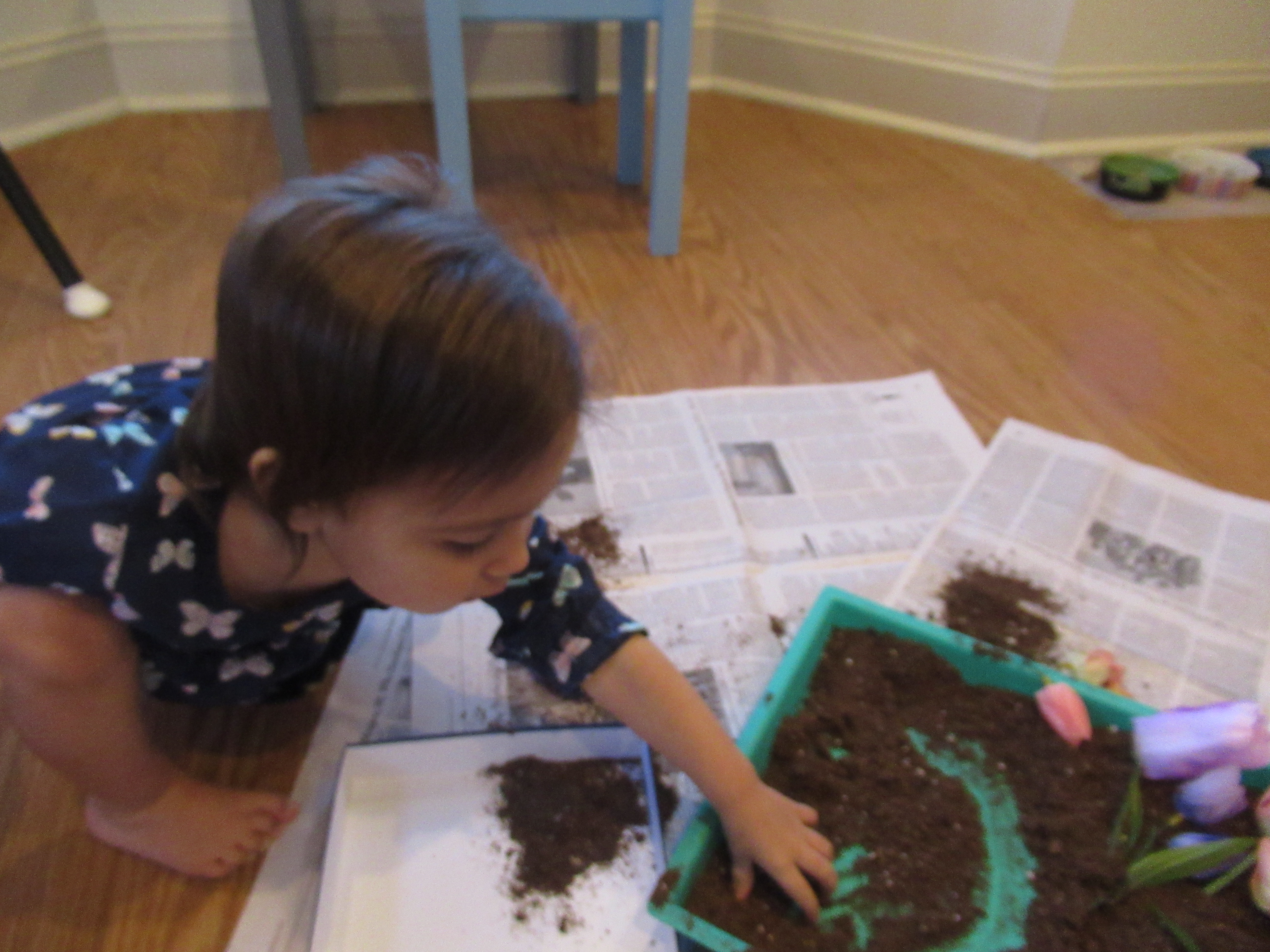 Potting Soil Sandbox (6)