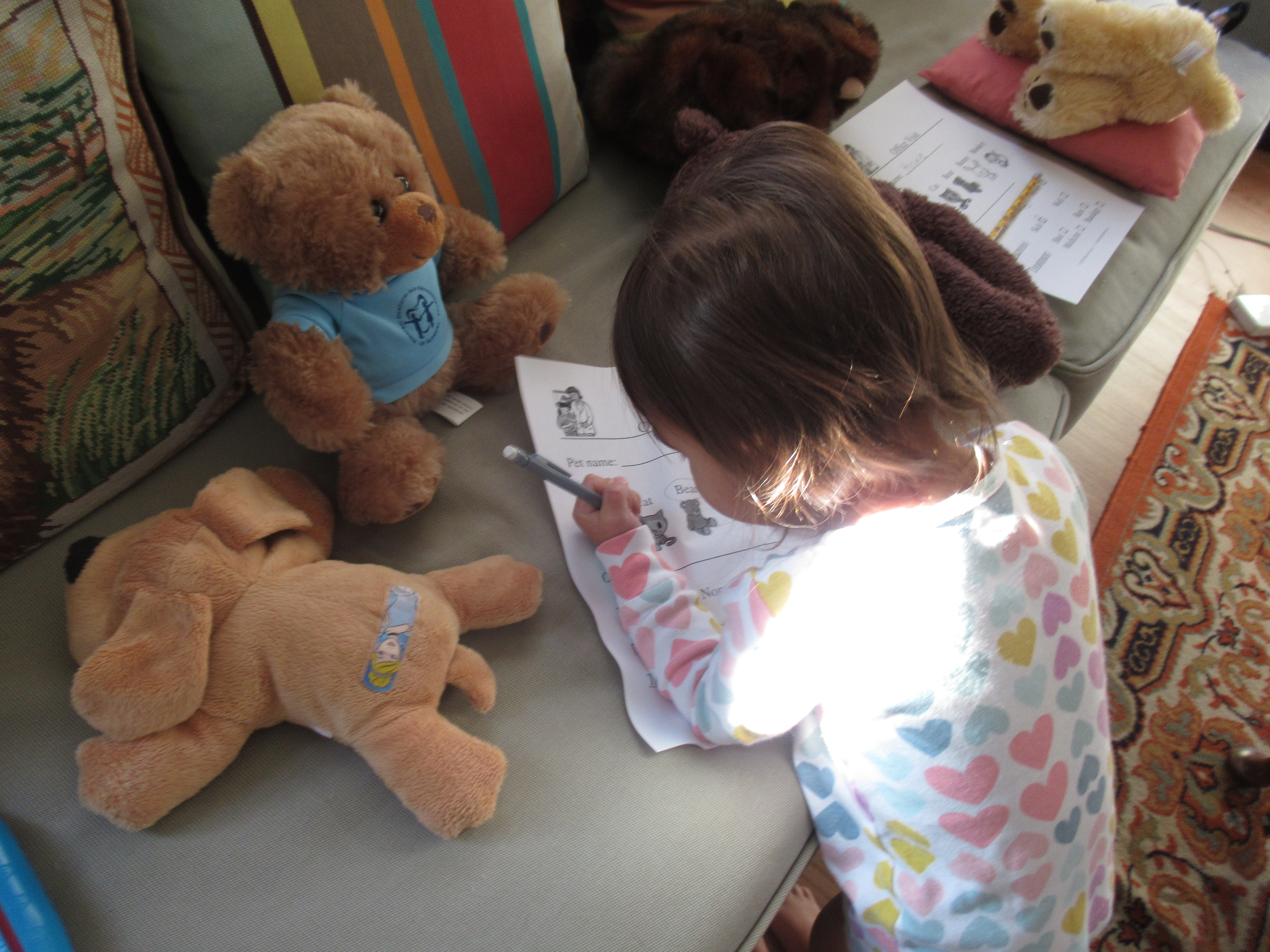 Pretend Vet (11)