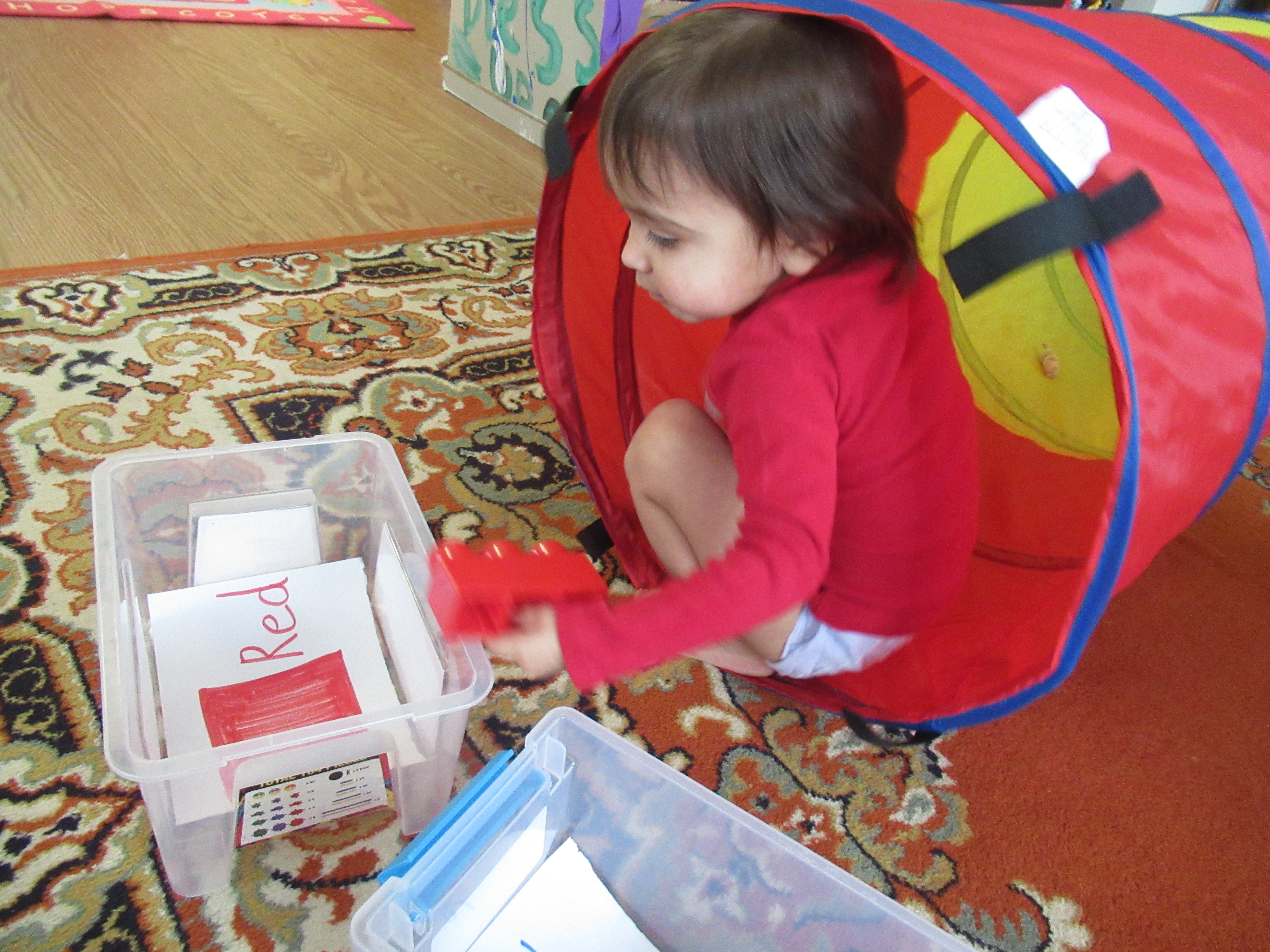 Sort Colors Tunnel (4)