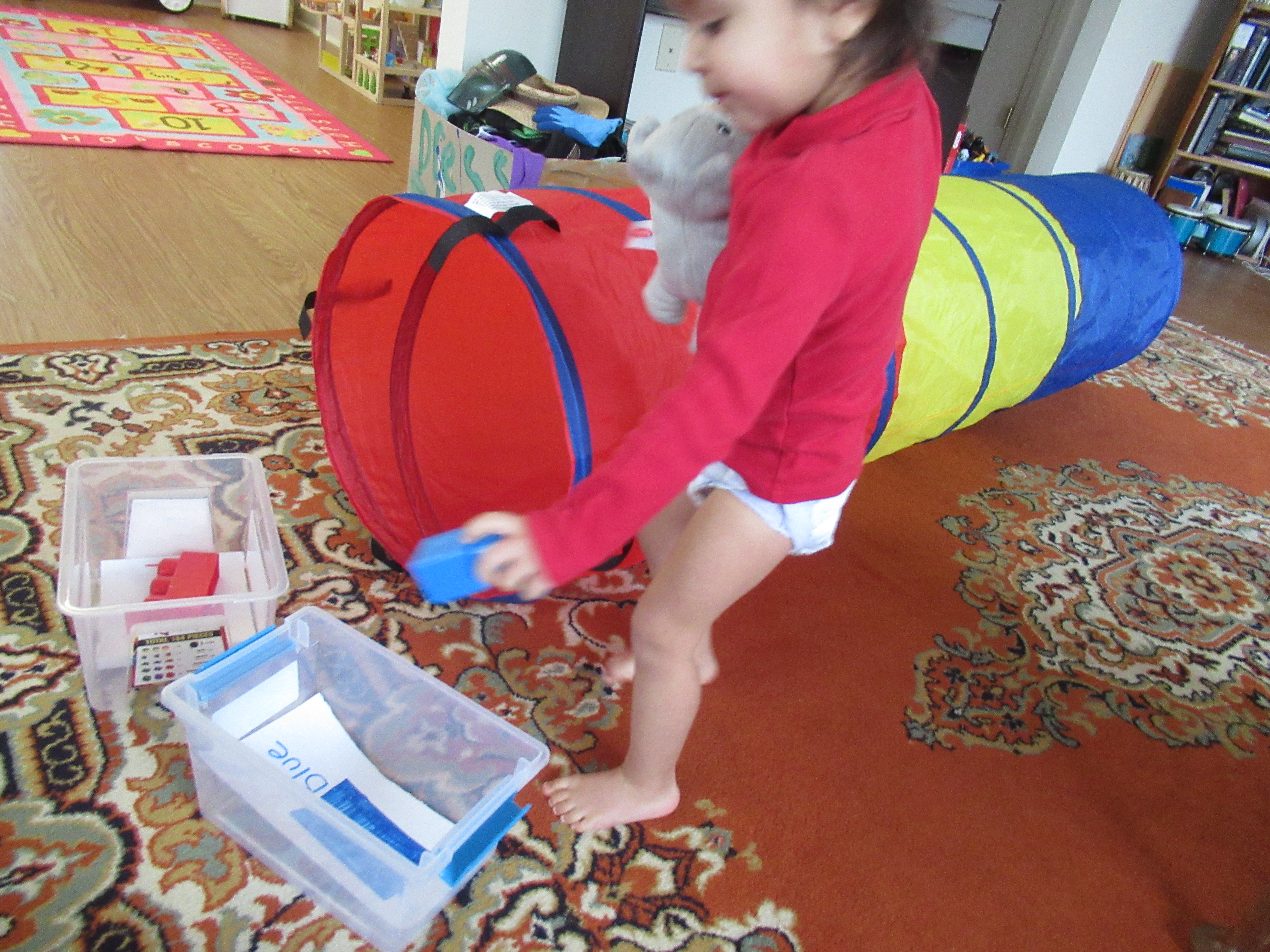 Sort Colors Tunnel (7)