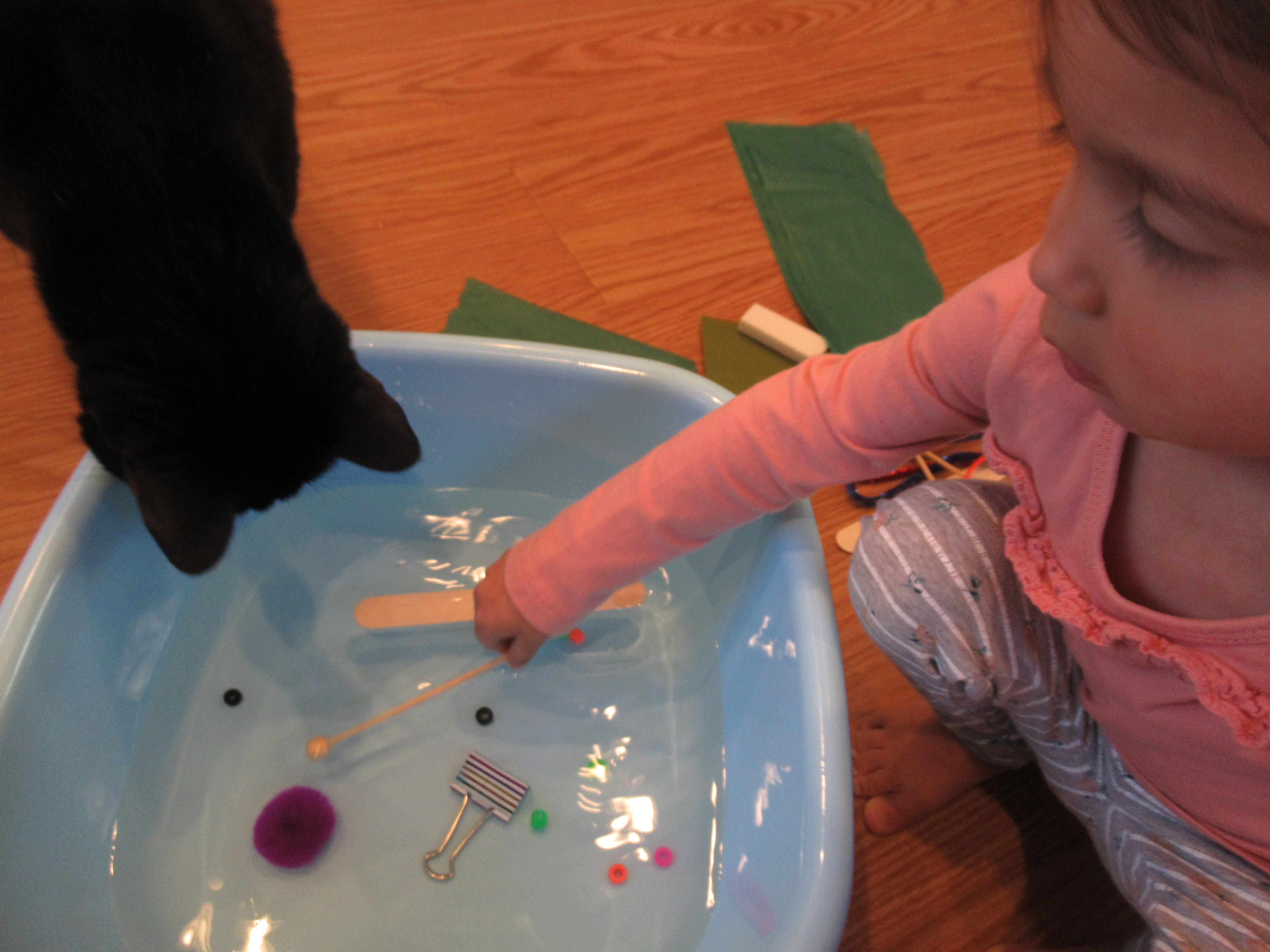 Simple Sink or Float (4)