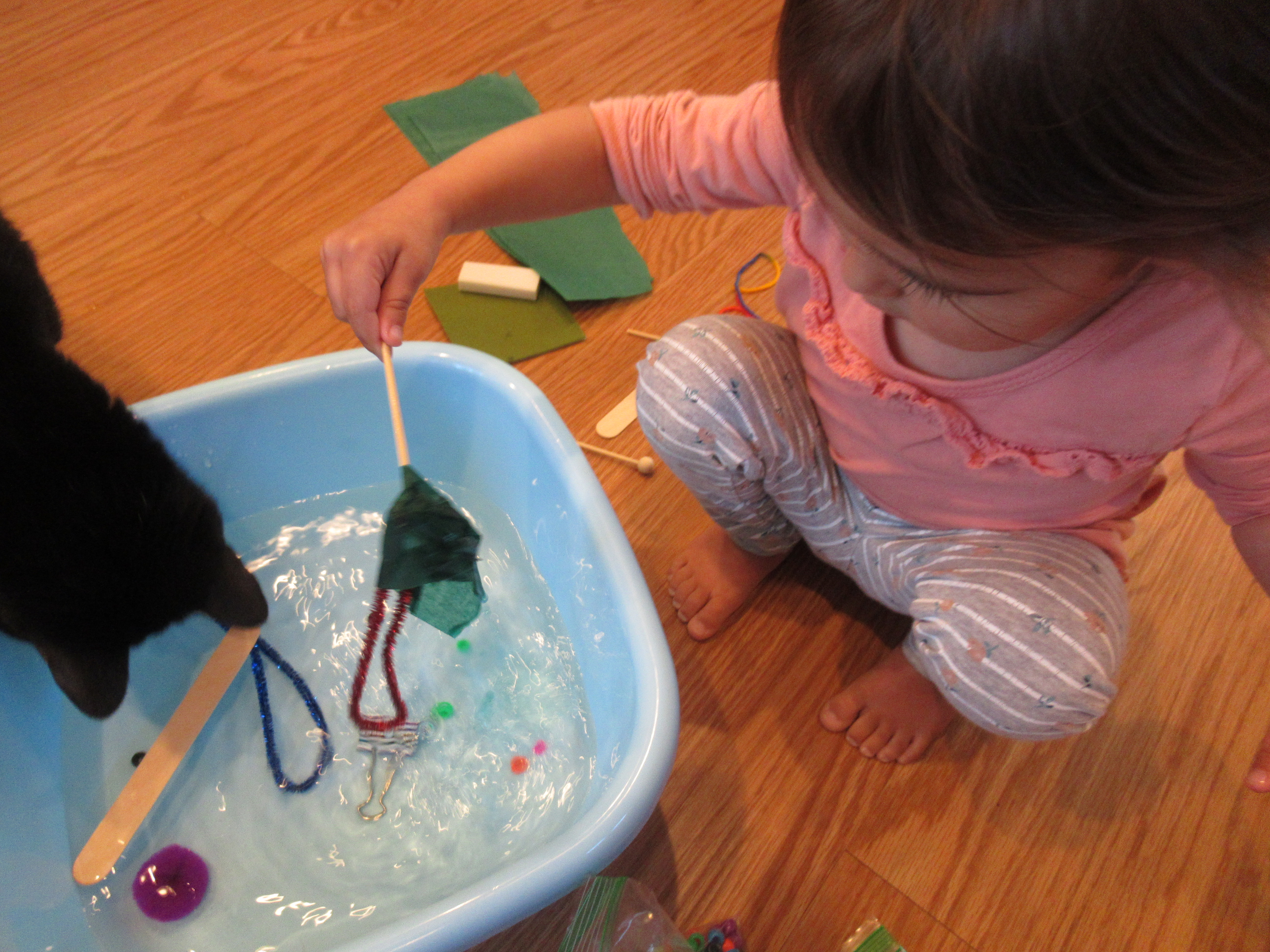 Simple Sink or Float (5)