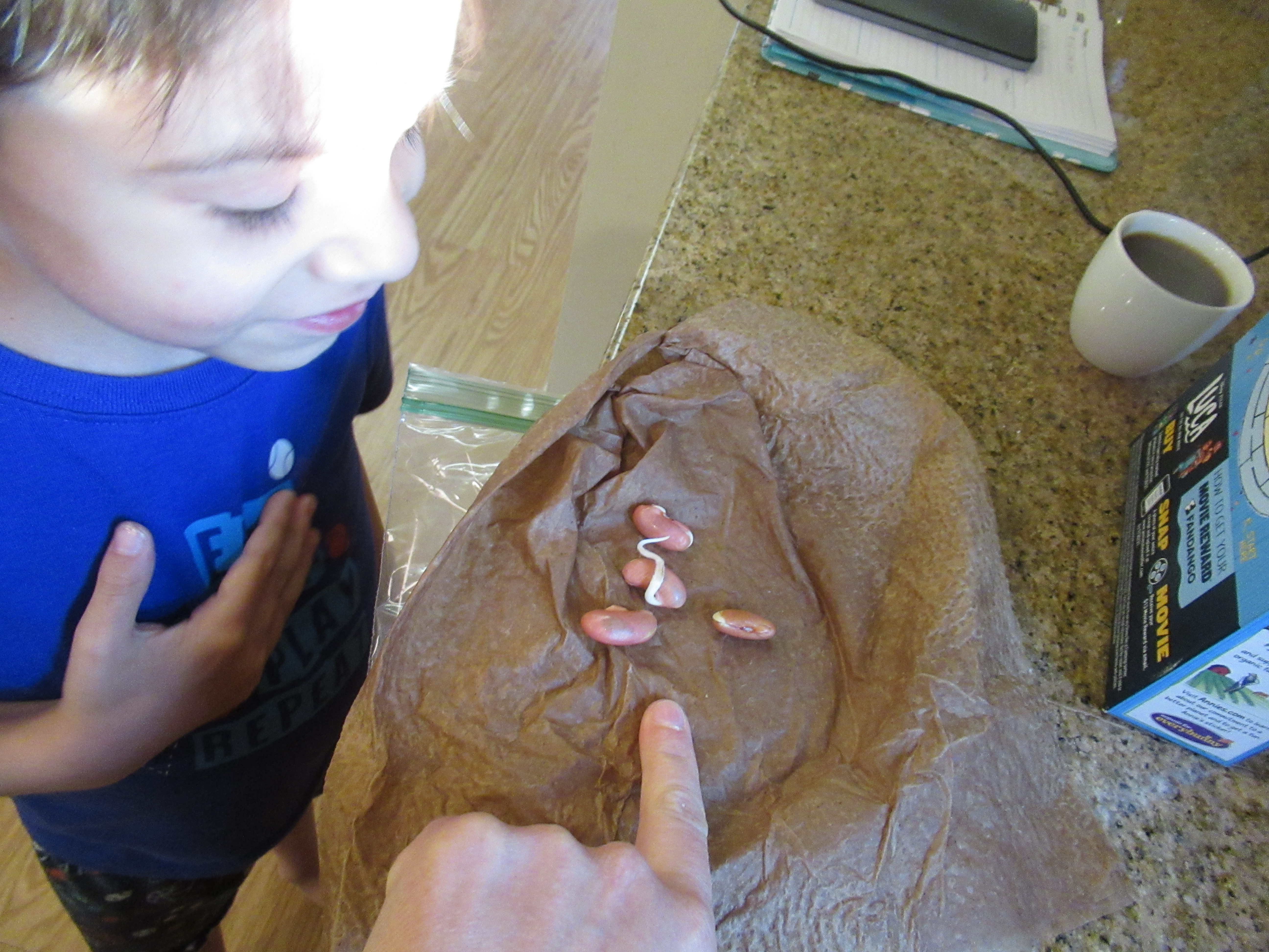 Sprout Some Seeds (3)