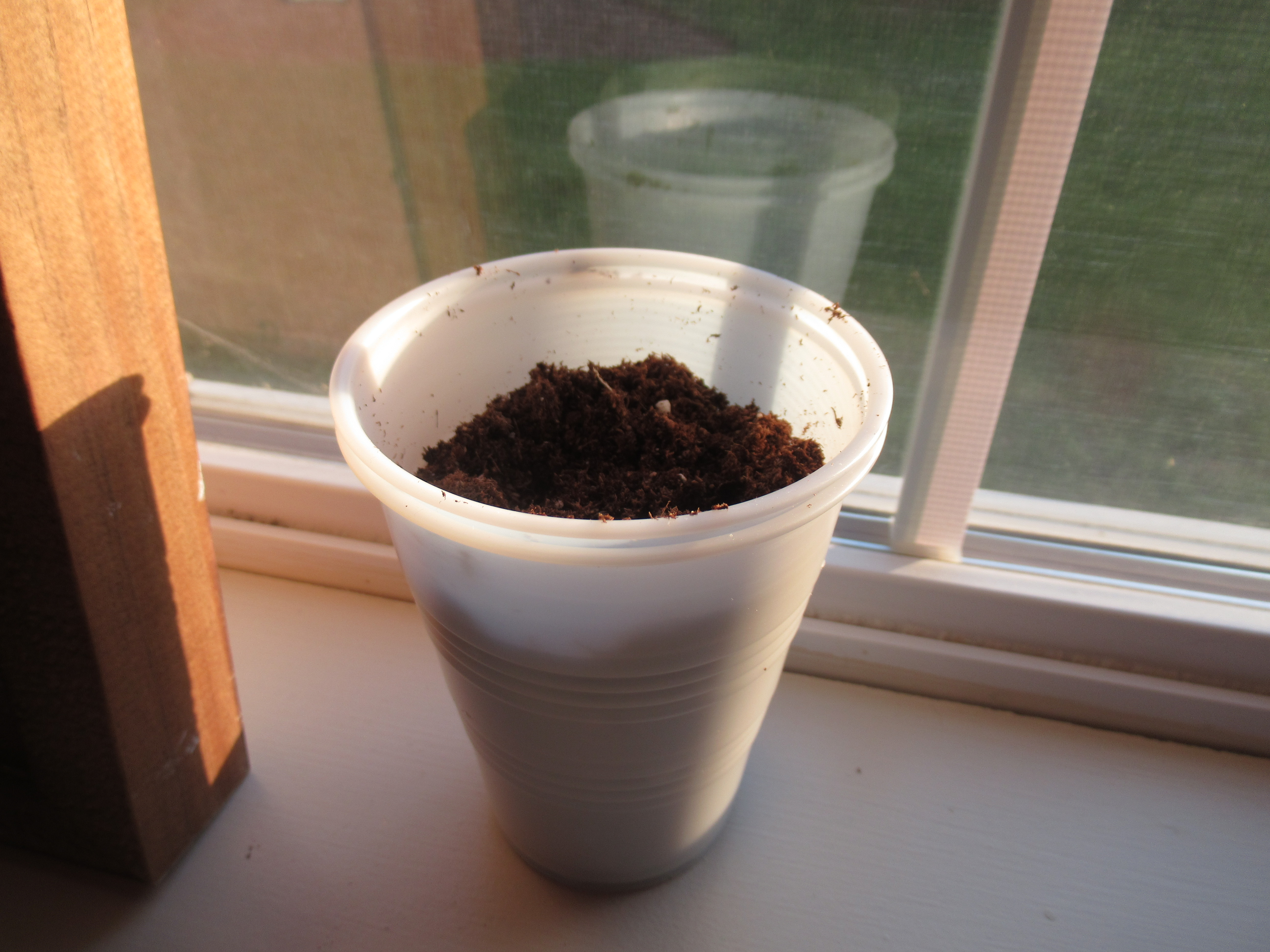 Sprout Some Seeds (5)