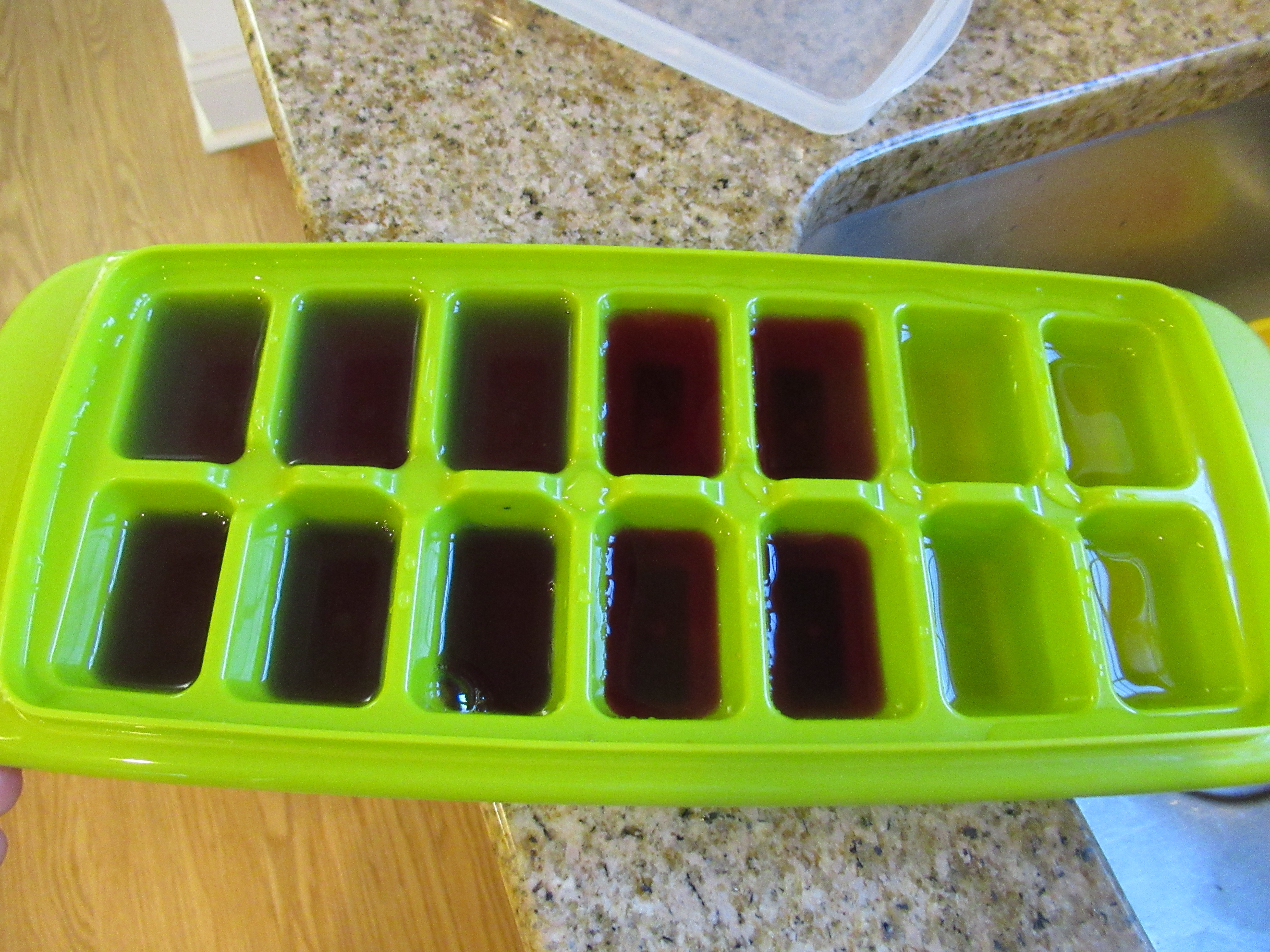 Tin Foil River Ice Boats (1)