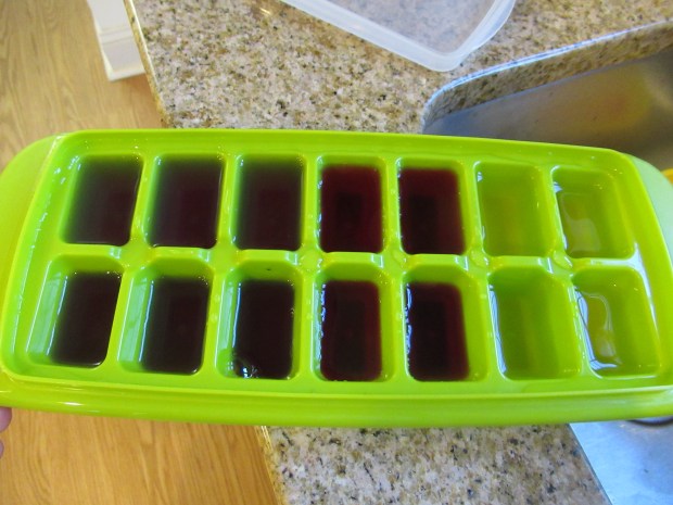 Tin Foil River Ice Boats (1)