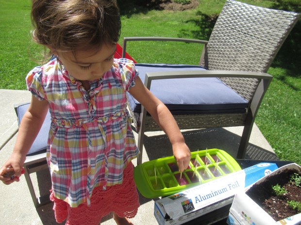 Tin Foil River Ice Boats (2)