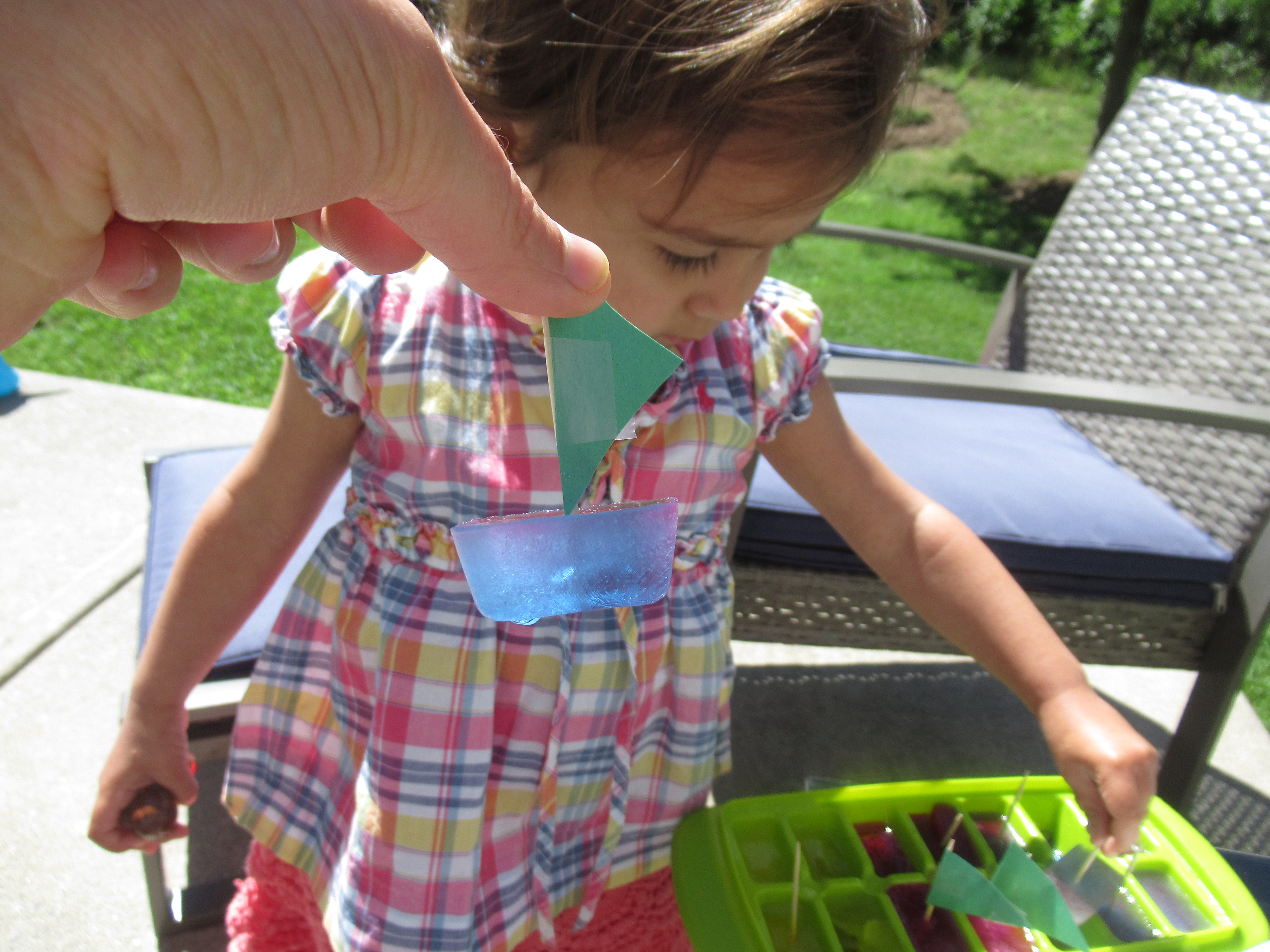 Tin Foil River Ice Boats (3)