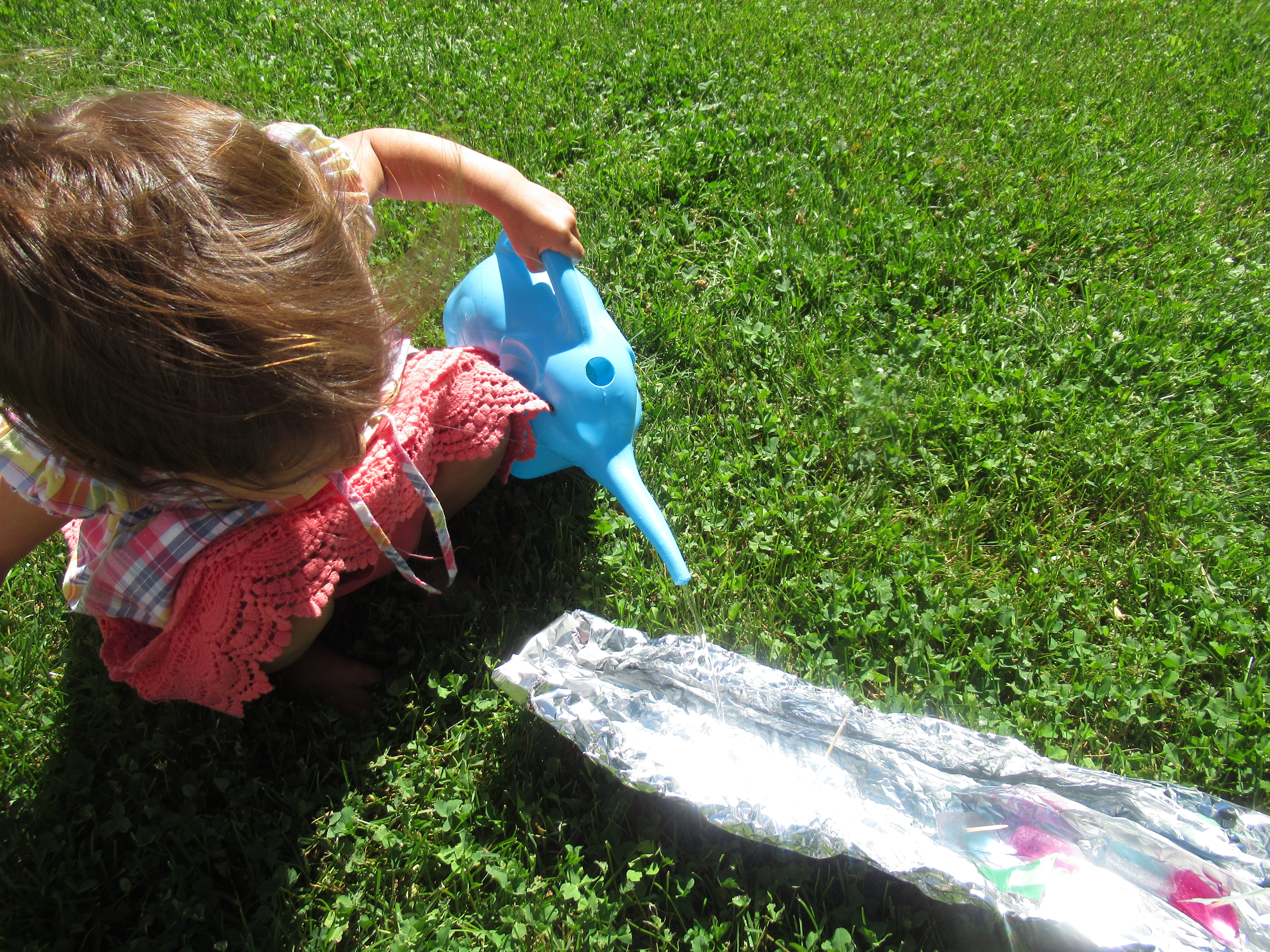 Tin Foil River Ice Boats (6)