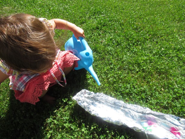 Tin Foil River Ice Boats (6)