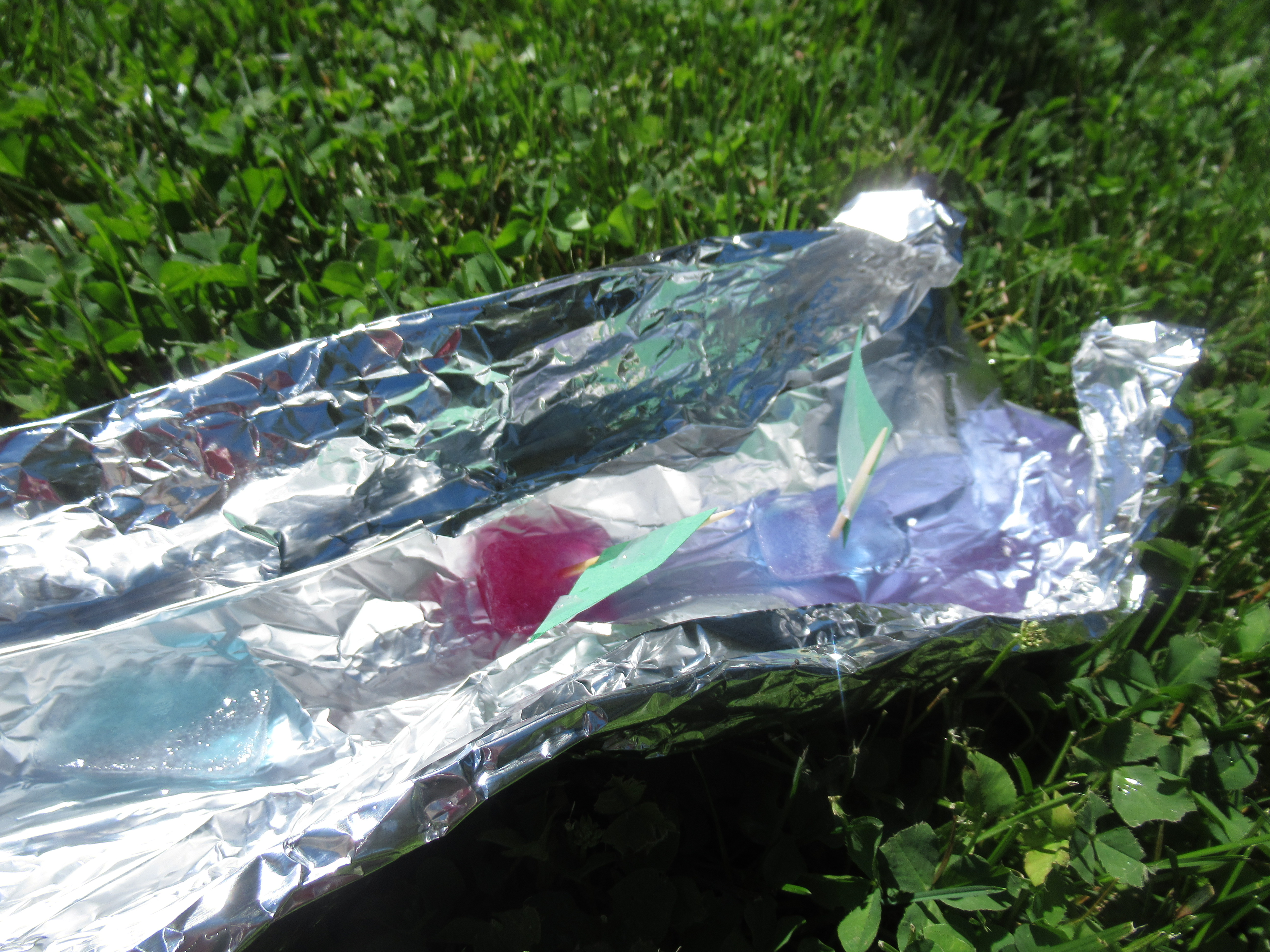 Tin Foil River Ice Boats (7)