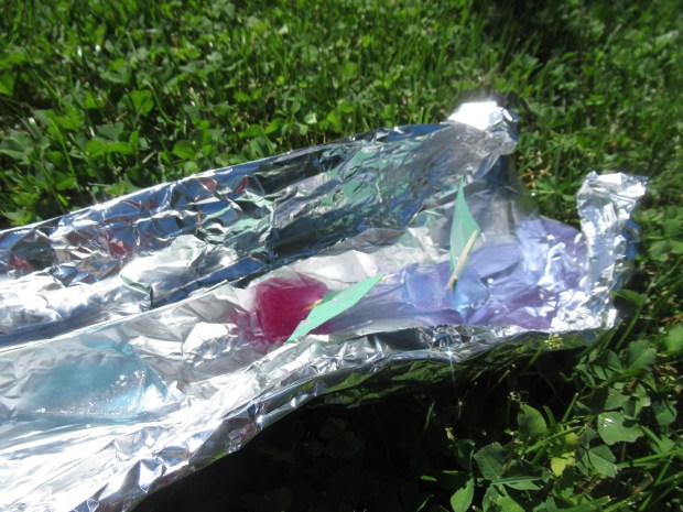 Tin Foil River Ice Boats (7)