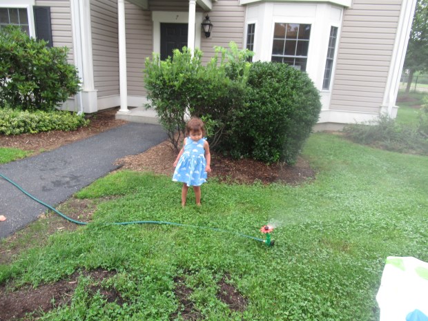 Sprinkler 6 ways (11)