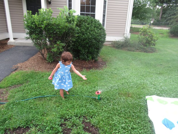 Sprinkler 6 ways (12)