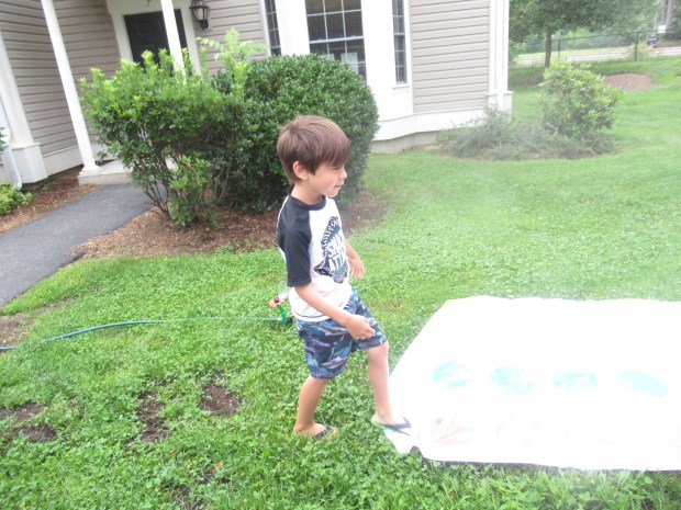 Sprinkler 6 ways (3)