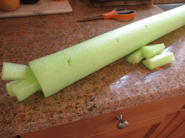Pool Noodle Sprinkler (2)