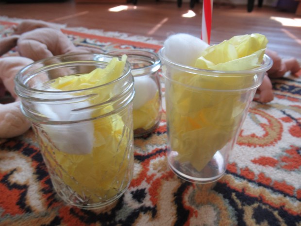 Pretend Play Lemonade (2)