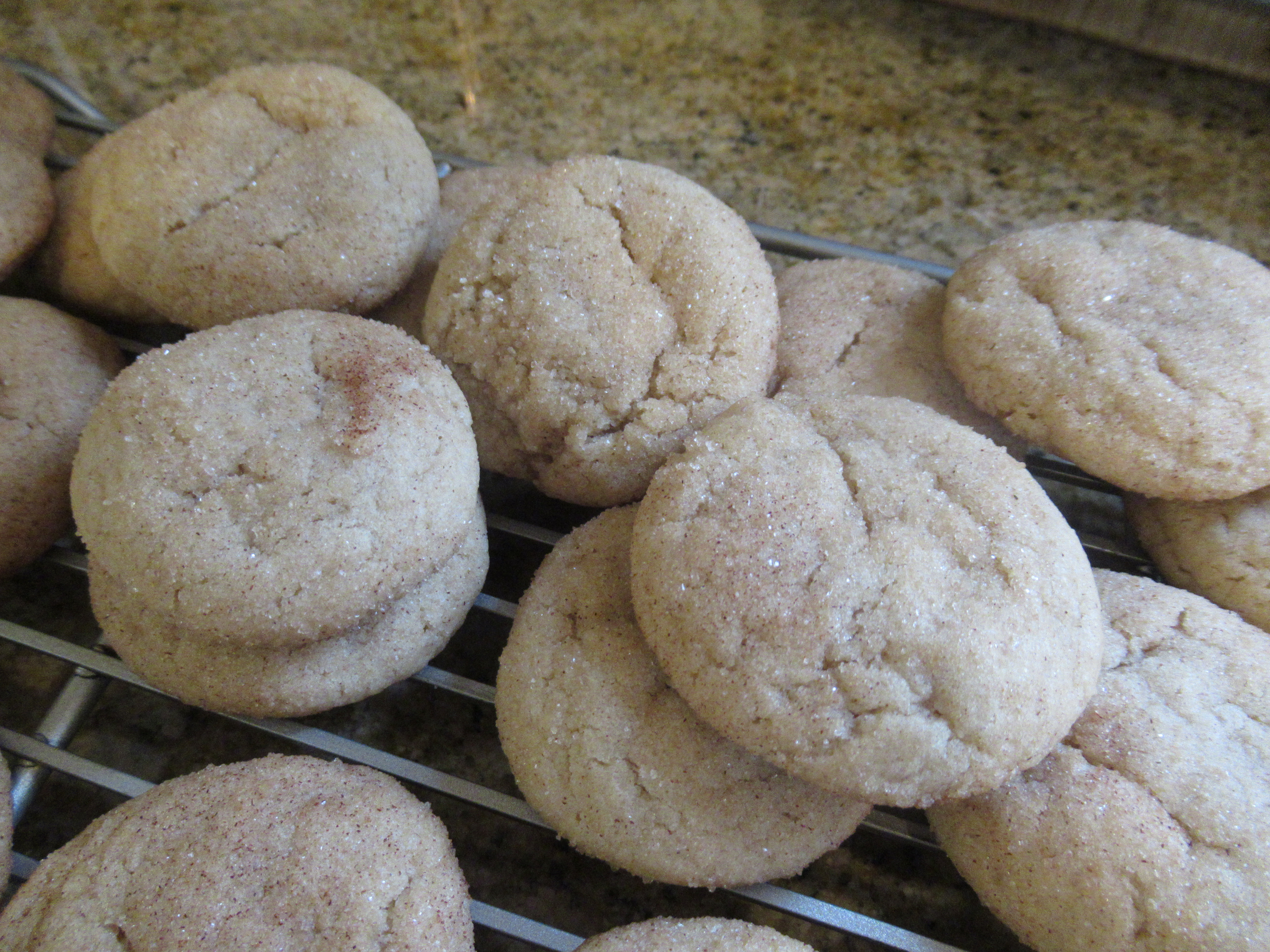 Snickerdoodles (2)