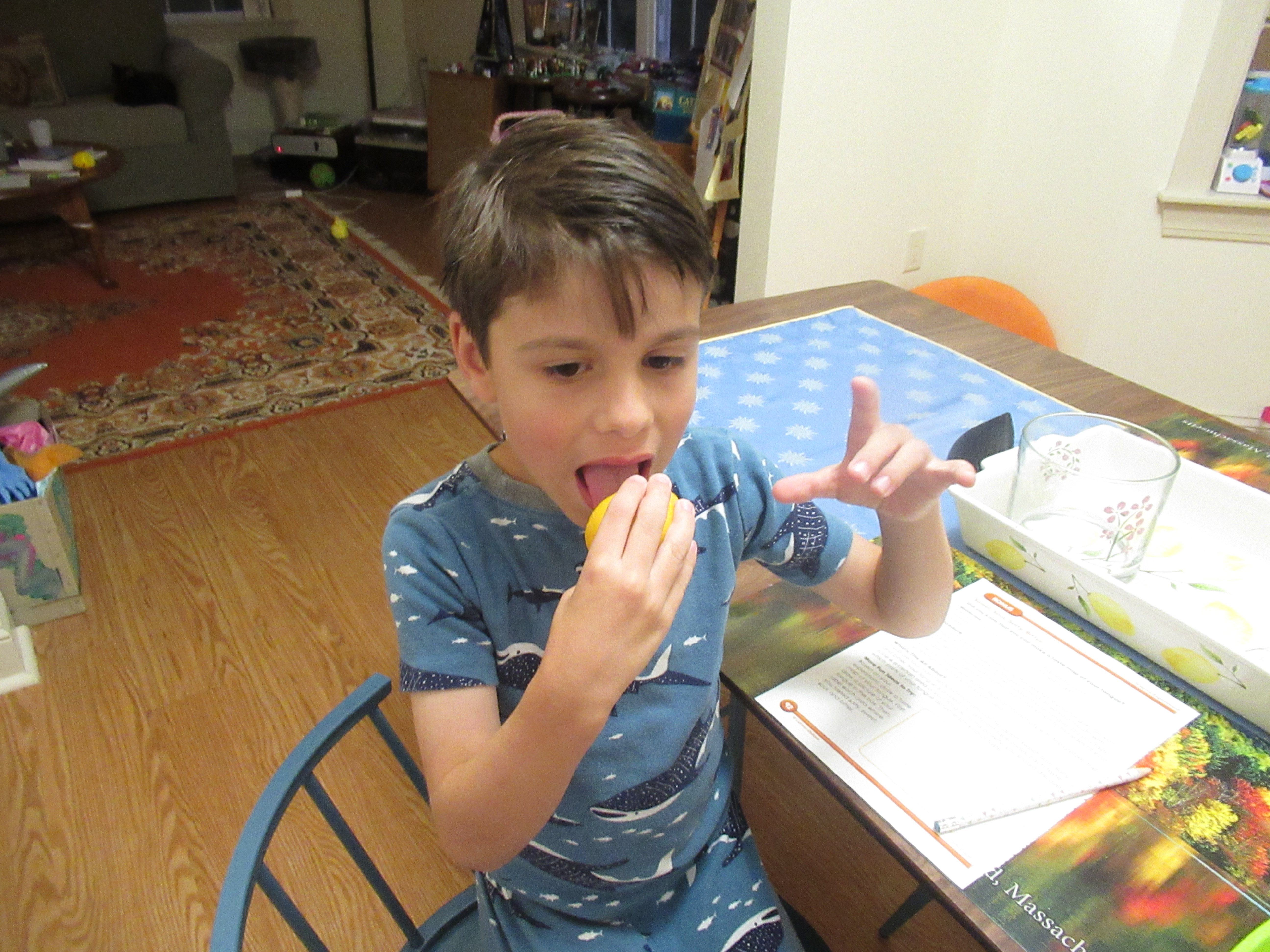 Sweet Sour Salty (1)