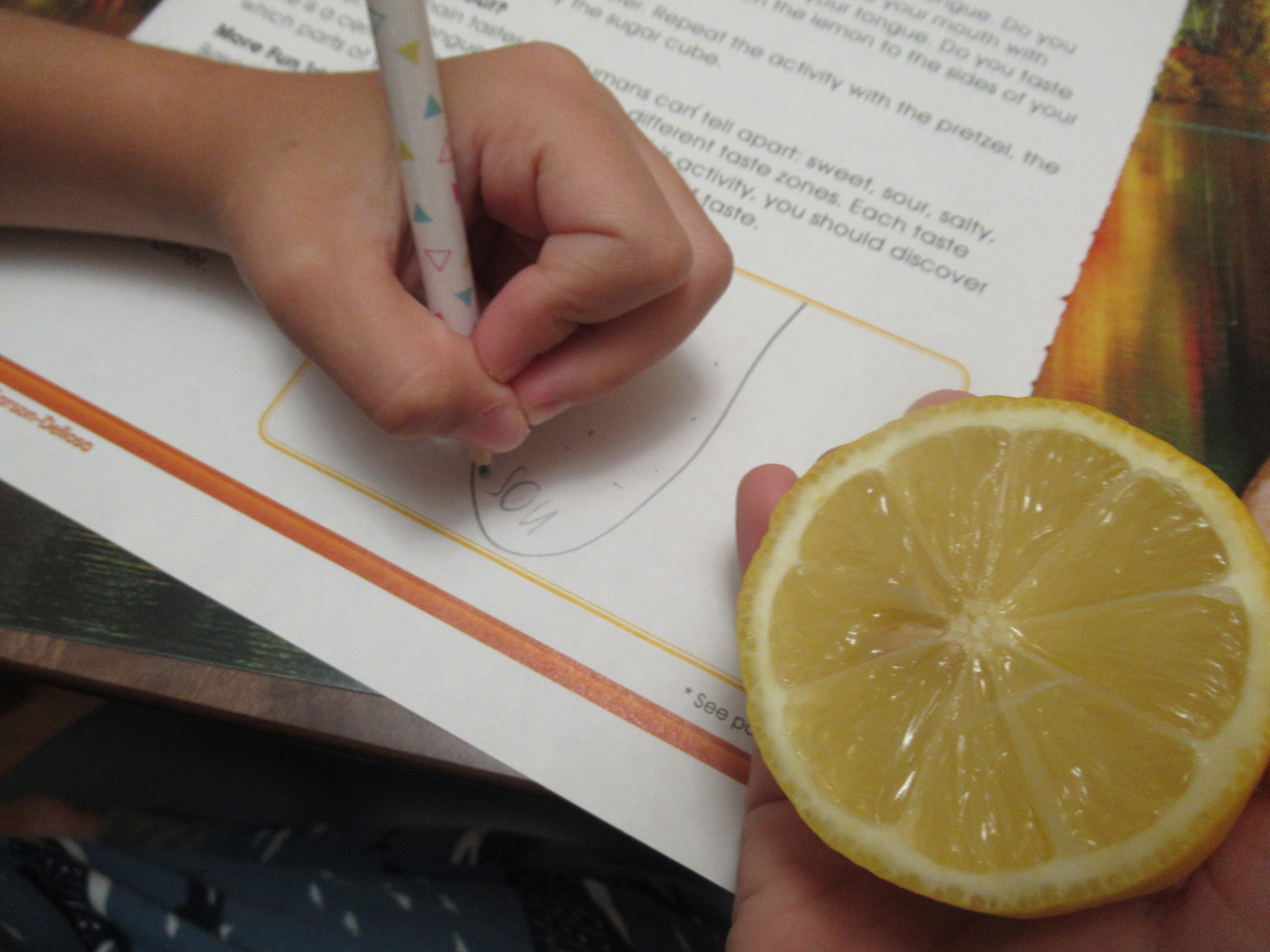 Sweet Sour Salty (5)